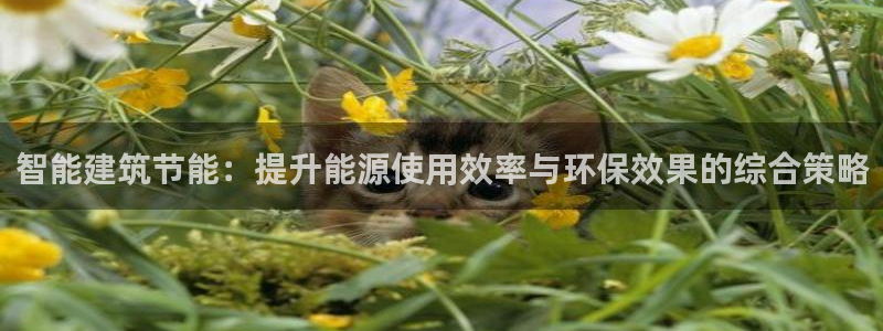 e尊国际娱乐官网下载