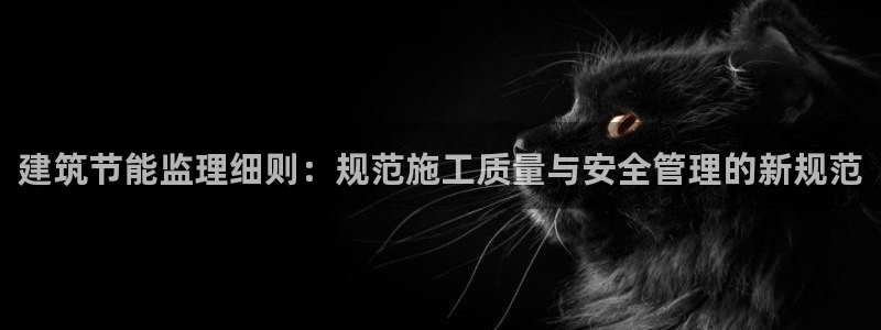 e尊国际是干什么的：建筑节能监理细则：规范施工质量与安全管理的新规范