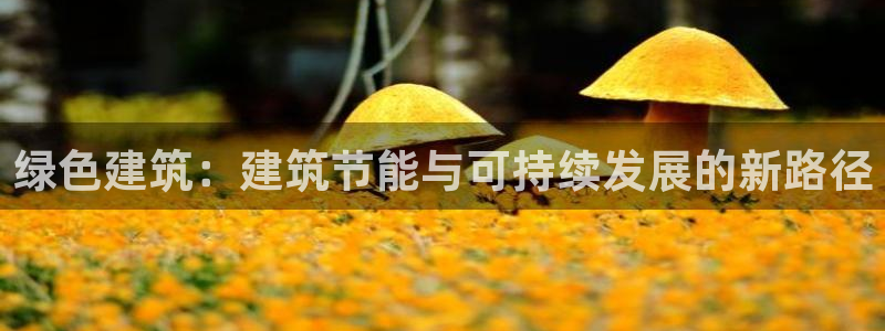 e尊国际官网·网址：绿色建筑：建筑节能与可持续发展的新路径