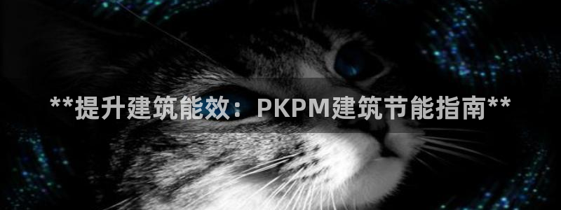 e尊国际客服：**提升建筑能效：PKPM建筑节能指南**