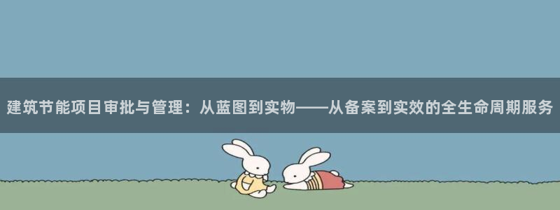e尊国际网址：建筑节能项目审批与管理：从蓝图到实物——从备案到实效的全生命周期服务