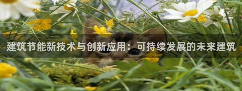 尊亿娱乐国际官网：建筑节能新技术与创新应用：可持续发展的未来建筑