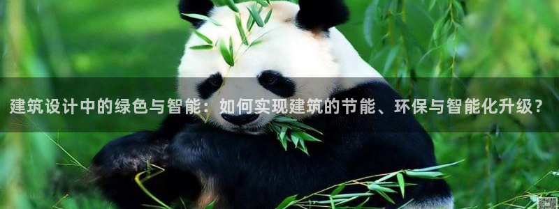 e尊国际官网
