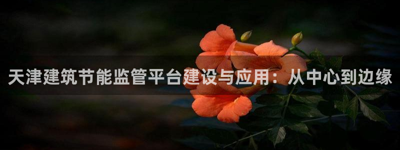 e尊国际的手机登录网站：天津建筑节能监管平台建设与应用：从中心到边缘