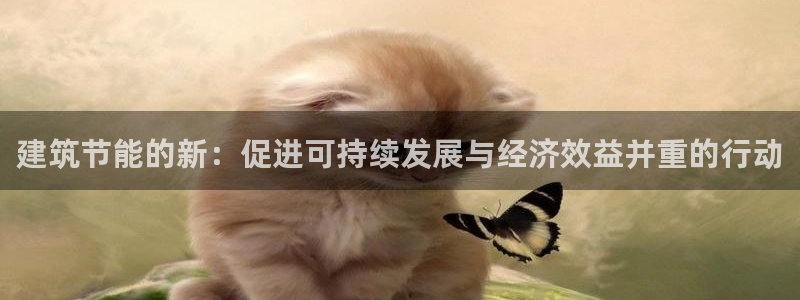 e尊国际网址：建筑节能的新：促进可持续发展与经济效益并重的行动