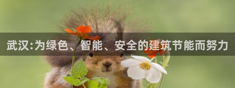 e尊国际的手机登录网站：武汉:为绿色、智能、安全的建筑节能而努力