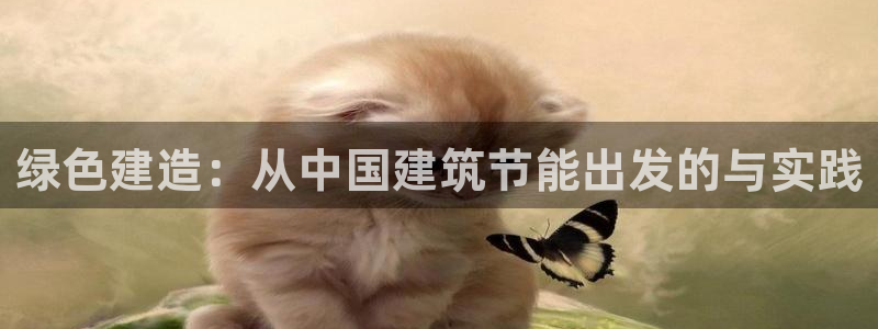 e尊国际是个黑网