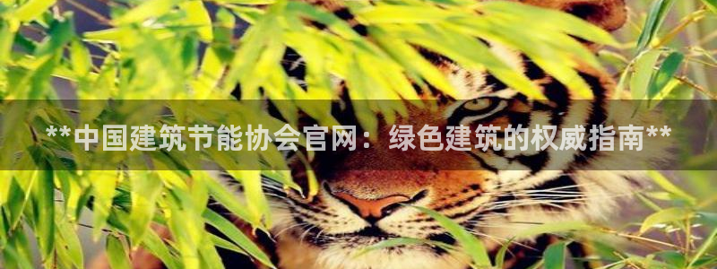 e尊平台：**中国建筑节能协会官网：绿色建筑的权威指南**