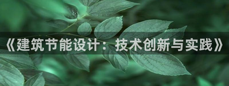e尊国际官方网站：《建筑节能设计：技术创新与实践》