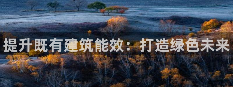 e尊国际app：提升既有建筑能效：打造绿色未来