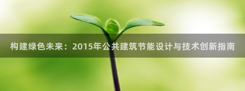 尊亿游戏国际官网：构建绿色未来：2015年公共建筑节能设计与技术创新指南