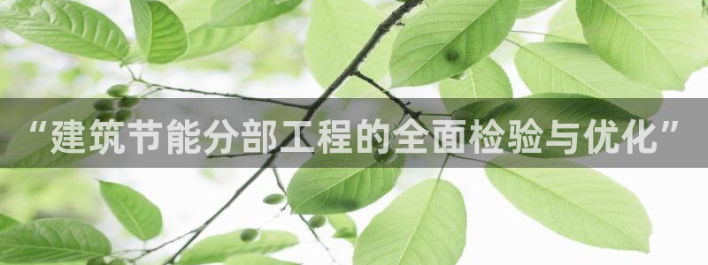 e尊电竞：“建筑节能分部工程的全面检验与优化”