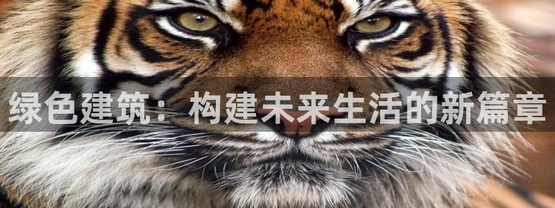 e尊国际娱乐官网地址：绿色建筑：构建未来生活的新篇章