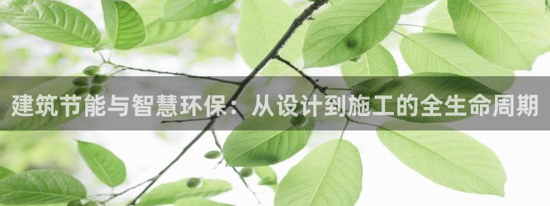 e尊国际可靠吗：建筑节能与智慧环保：从设计到施工的全生命周期