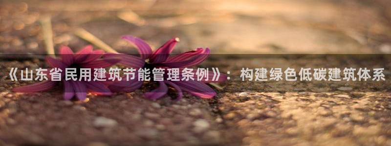 e尊国际官网app：《山东省民用建筑节能管理条例》：构建绿色低碳建筑体系