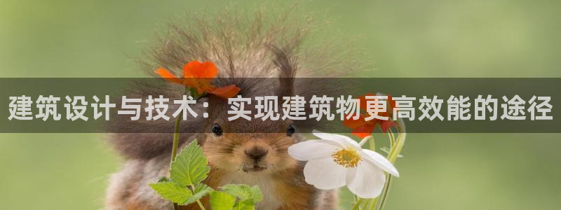 e尊国际娱乐官网下载：建筑设计与技术：实现建筑物更高效能的途径