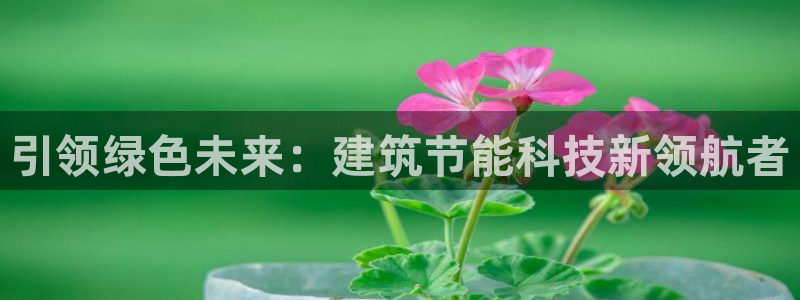 e尊国际客服：引领绿色未来：建筑节能科技新领航者