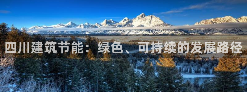 E尊国际网站：四川建筑节能：绿色、可持续的发展路径