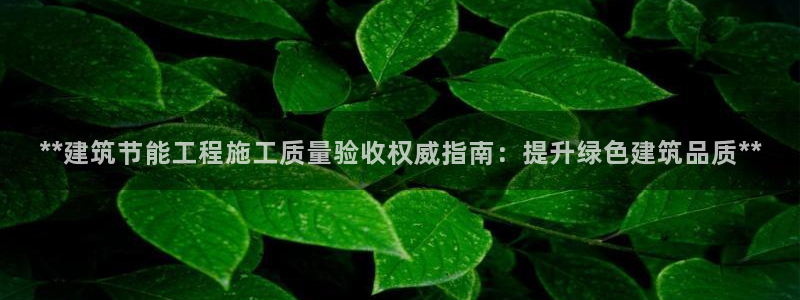 e尊国际是个黑网：**建筑节能工程施工质量验收权威指南：提升绿色建筑品质**