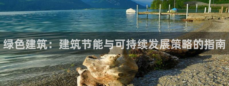 e尊国际是干什么的：绿色建筑：建筑节能与可持续发展策略的指南