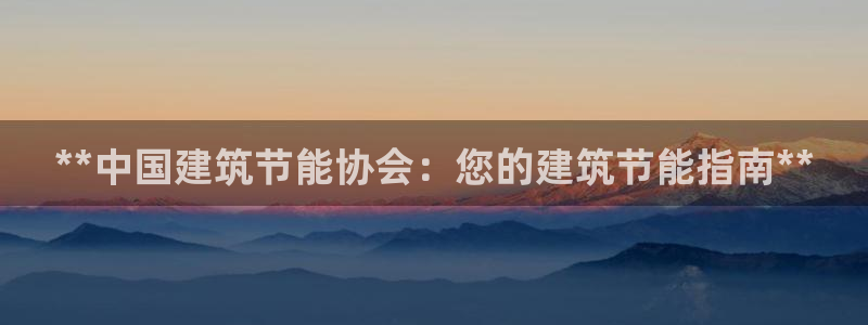 e尊国际是个黑网：**中国建筑节能协会：您的建筑节能指南**
