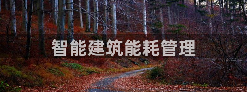 谁知道e尊国际的网址：智能建筑能耗管理