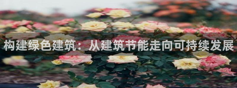 e尊电竞：构建绿色建筑：从建筑节能走向可持续发展