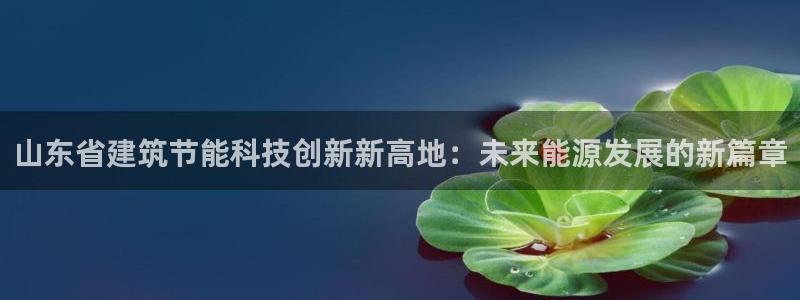 e尊国际娱乐官网下载：山东省建筑节能科技创新新高地：未来能源发展的新篇章