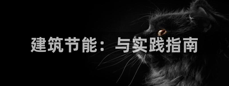 E尊国际：建筑节能：与实践指南