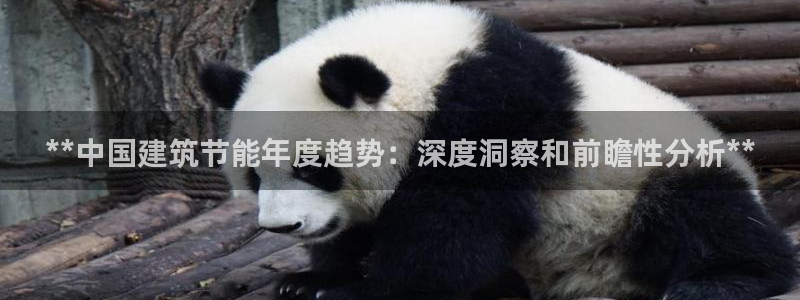 e尊国际官网app：**中国建筑节能年度趋势：深度洞察和前瞻性分析**