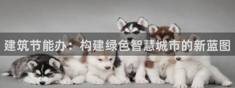 e尊国际可靠吗：建筑节能办：构建绿色智慧城市的新蓝图
