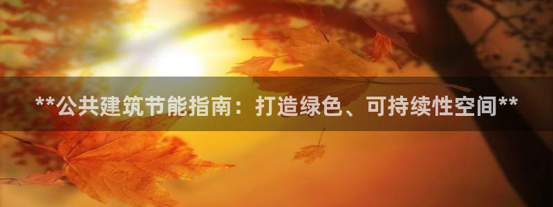 E尊国际：**公共建筑节能指南：打造绿色、可持续性空间**