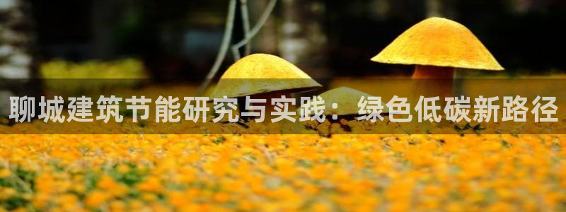 谁知道e尊国际的网址：聊城建筑节能研究与实践：绿色低碳新路径