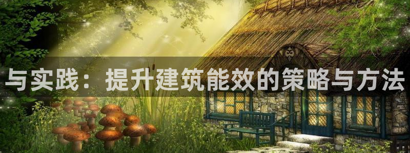 e尊国际客户端下载：与实践：提升建筑能效的策略与方法