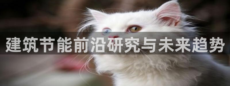 e尊平台：建筑节能前沿研究与未来趋势