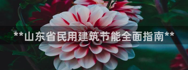 尊亿娱乐国际官网：**山东省民用建筑节能全面指南**