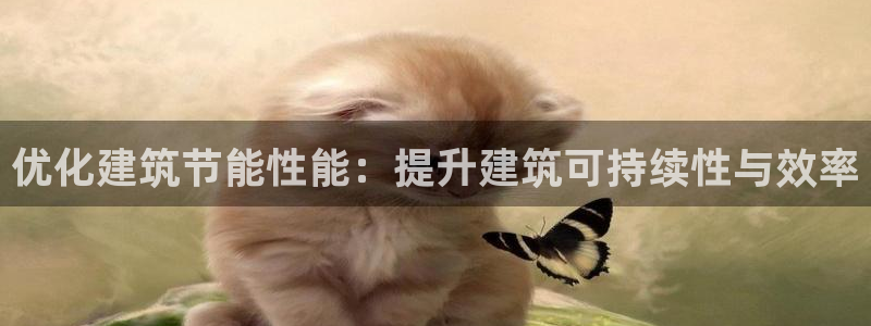 e尊国际客服：优化建筑节能性能：提升建筑可持续性与效率