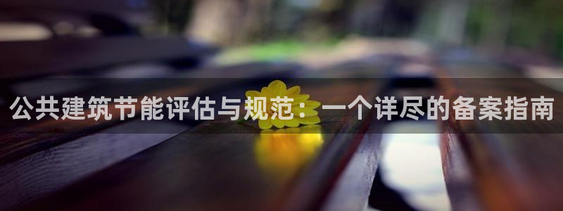 E尊国际：公共建筑节能评估与规范：一个详尽的备案指南