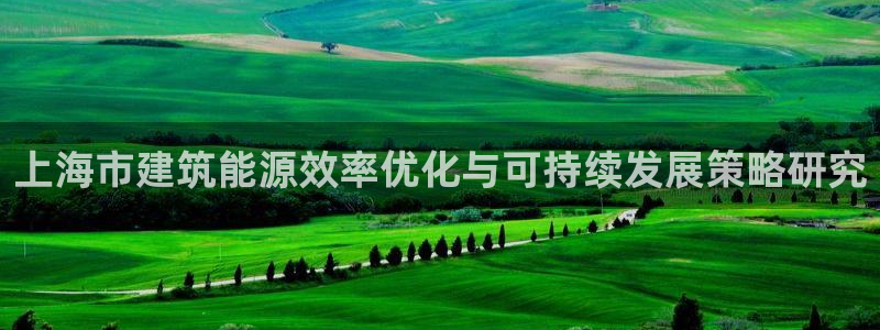 e尊官网：上海市建筑能源效率优化与可持续发展策略研究