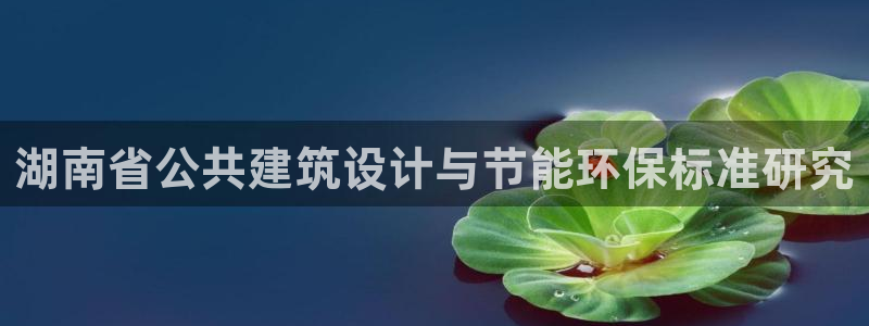 e尊国际是干什么的：湖南省公共建筑设计与节能环保标准研究