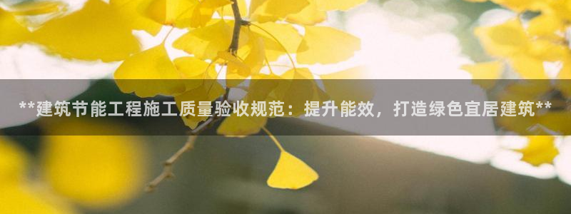 e尊国际是个黑网：**建筑节能工程施工质量验收规范：提升能效，打造绿色宜居建筑**