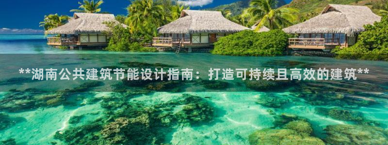 E尊国际网站：**湖南公共建筑节能设计指南：打造可持续且高效的建筑**