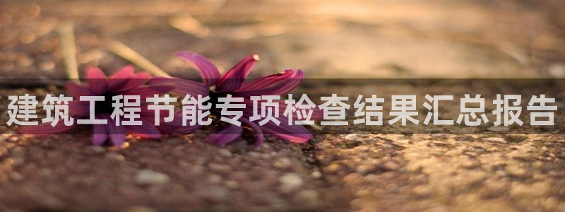 e尊平台：建筑工程节能专项检查结果汇总报告