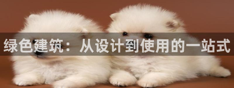 e尊国际-可可计划：绿色建筑：从设计到使用的一站式