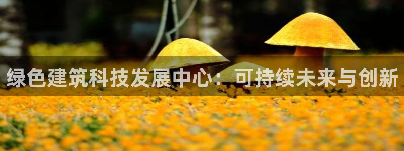 e尊国际-e尊国际官网：绿色建筑科技发展中心：可持续未来与创新
