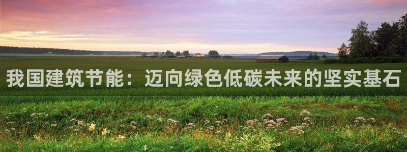 e尊国际的手机登录网站：我国建筑节能：迈向绿色低碳未来的坚实基石