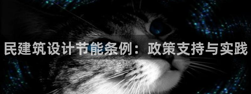 E尊国际：民建筑设计节能条例：政策支持与实践
