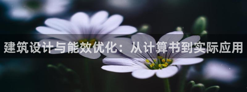 谁知道e尊国际的网址：建筑设计与能效优化：从计算书到实际应用
