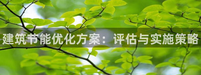 e尊国际客户端：建筑节能优化方案：评估与实施策略
