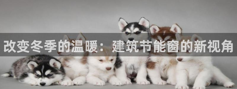 e尊国际官网app：改变冬季的温暖：建筑节能窗的新视角